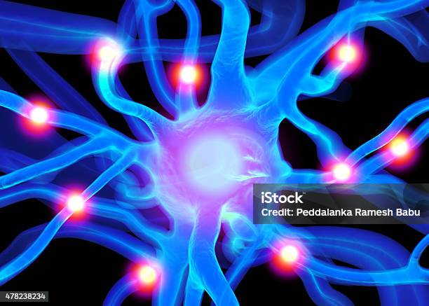 Nerve Cells Or Neurons Stock Photo - Download Image Now - Enjoyment, Human Nervous System, EEG