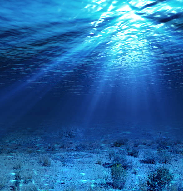 underwater landscape - ocean under water stockfoto's en -beelden