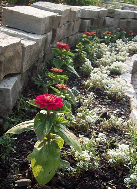 istock Flowerbed In The Park 478243294