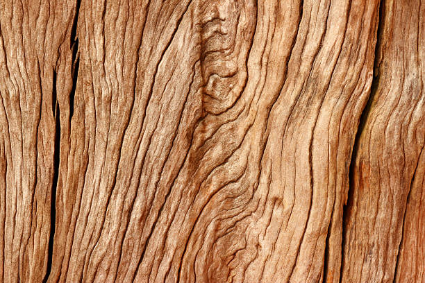 istock Beautiful wood texture background. Stock photo. 478243413