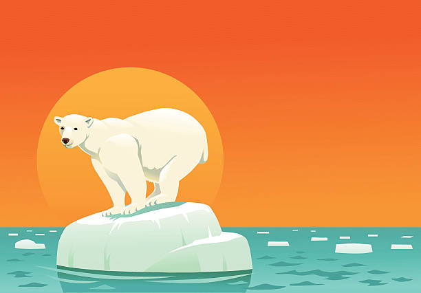 illustrazioni stock, clip art, cartoni animati e icone di tendenza di orso polare sul ghiaccio galleggiante-riscaldamento globale con spazio per il testo - image computer graphic sea one animal