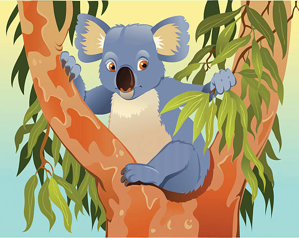 illustrations, cliparts, dessins animés et icônes de dessin animé de koala dans tree - koala australia cute animal