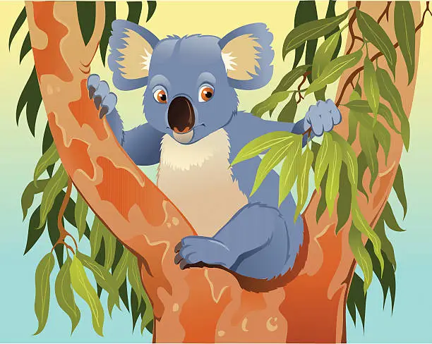 Vector illustration of Cartoon of Koala in the Tree