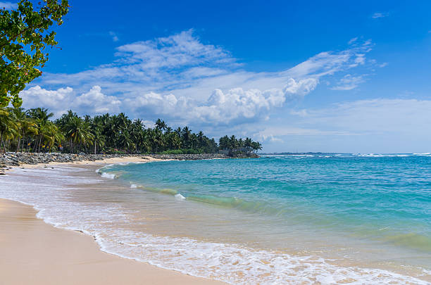 istock Tropical beach in Sri Lanka 478245471