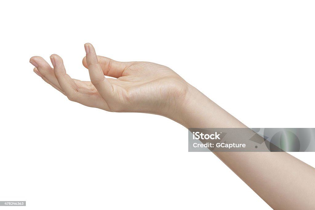 female teen hand to hold something female teen hand to hold something, isolated Women Stock Photo