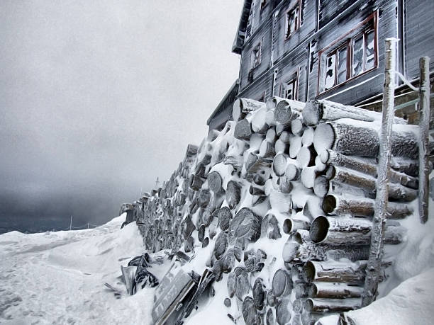 istock Wood pile with snow stacked for firewood 478247079