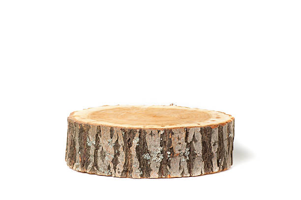 istock Cross section of tree trunk on white background 478248948