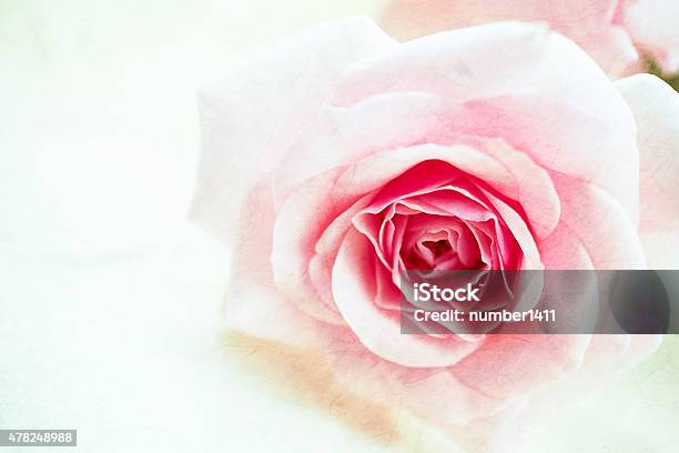 Sweet Pink Rose On Mulberry Paper Texture Stock Photo - Download Image Now - 2015, Abstract, Arrangement