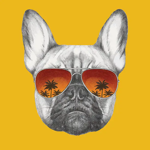 Vector illustration of Hand drawn portrait of French Bulldog with mirror sunglasses.