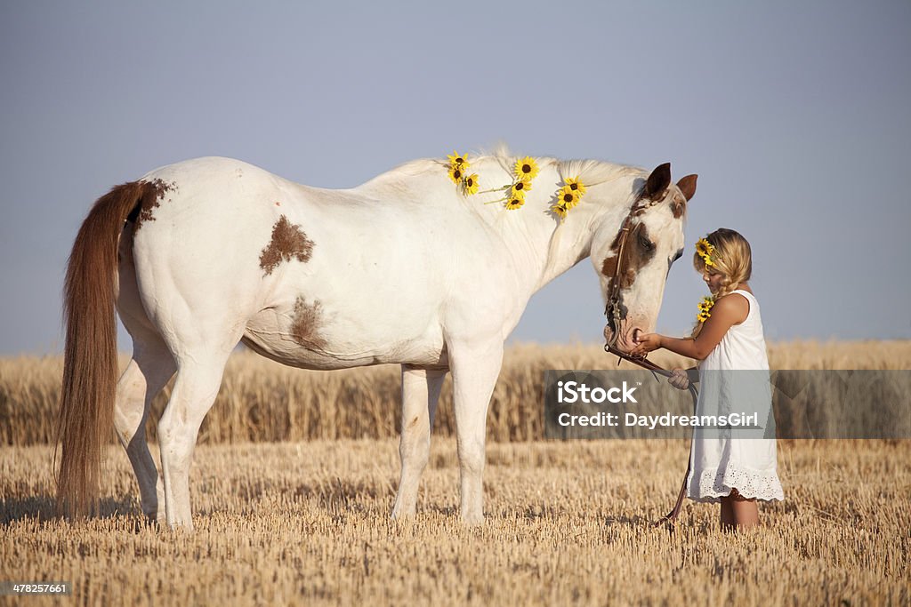 Girl Wearing verano vestir Sunflowers caballos y animales domésticos - Foto de stock de 6-7 años libre de derechos