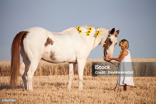 Foto de Garota Usando Vestido De Verão E Os Girassóis Reluzentes Acariciando Cavalo e mais fotos de stock de 6-7 Anos