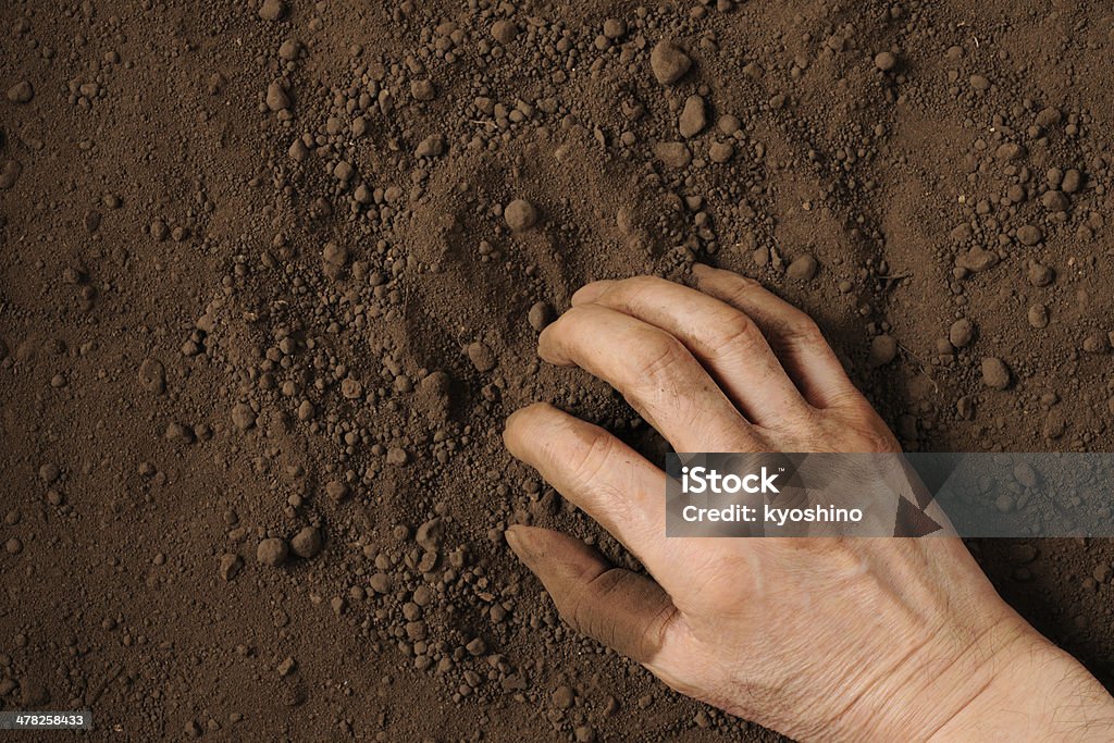 Humus 土壌手に - ガーデニングのロイヤリティフリーストックフォト