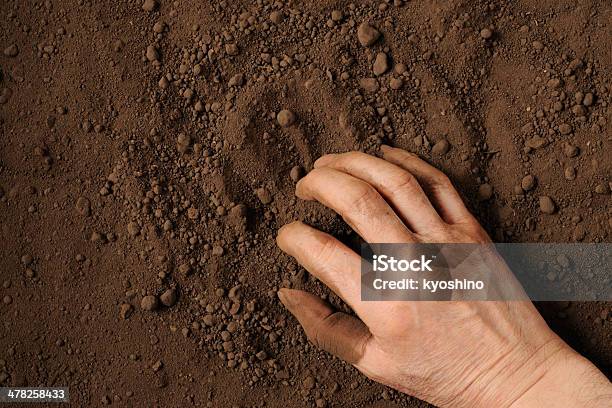 Humus 土壌手に - ガーデニングのストックフォトや画像を多数ご用意 - ガーデニング, 一握り, 人体部位