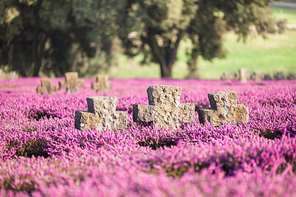 three crosses in heather flower bed - cementary at easter stock photo