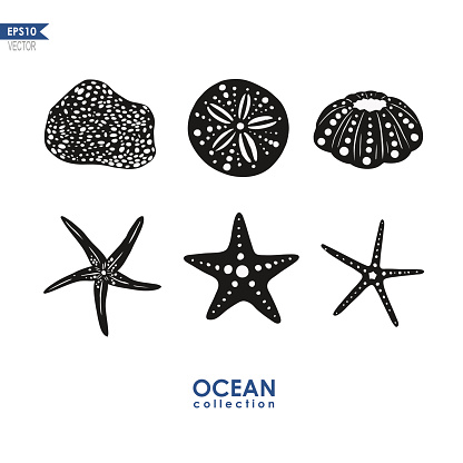 set of vector silhouettes of sea creatures