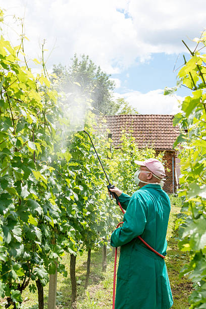 istock Agricultural chemistry 478261310