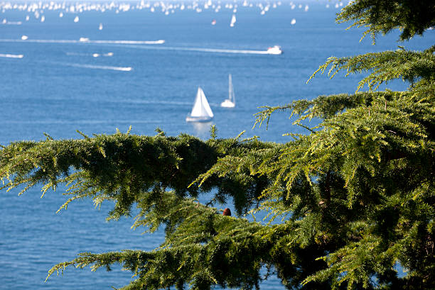 istock Barcolana 2010, The Trieste regatta 478263937