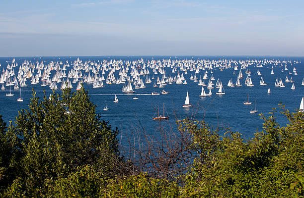 Barcolana 2010, The Trieste regatta