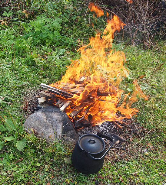 istock Teapot and kettle on a fire in the summer 478264327
