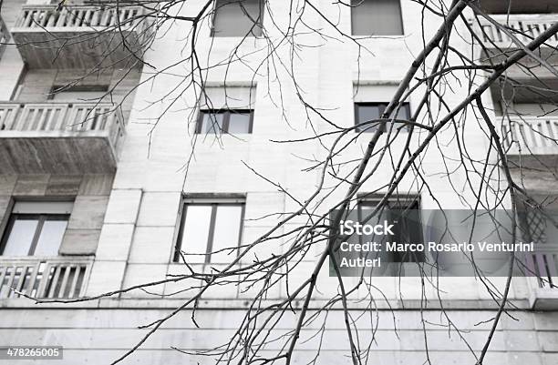 Árbol Latente De Ramas Con Caras Residencial Como Telón De Fondo Foto de stock y más banco de imágenes de Milán