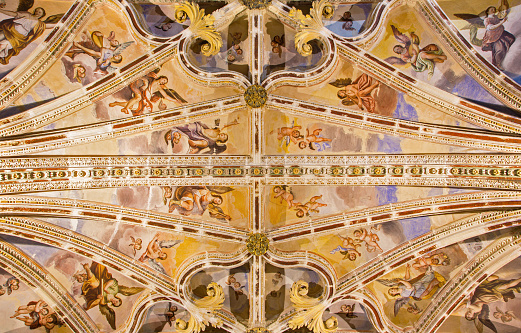 Granada - The gothic ceiling with the frescoes of back part of nave in the church Monasterio de San Jeronimo by Juan de Medina from 18.cent.
