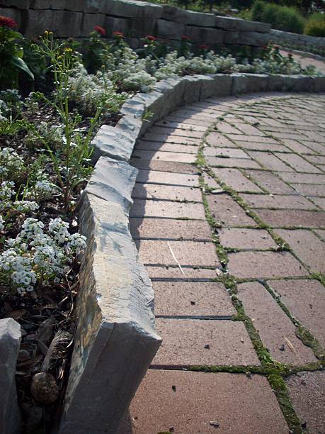 istock Flowerbed In The Park 478265852