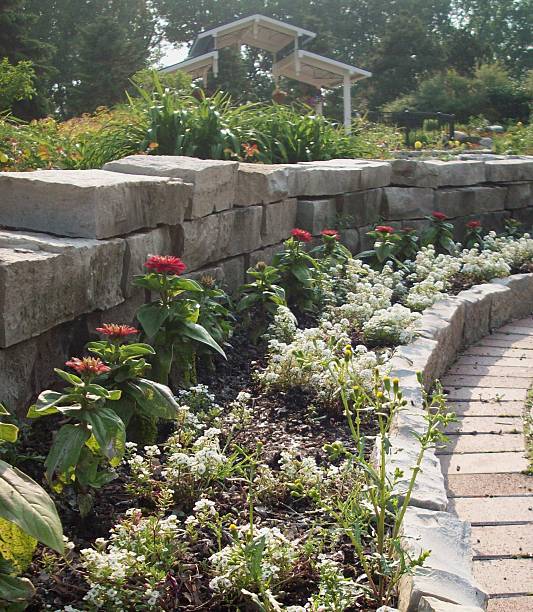 istock Flowerbed In The Park 478265854