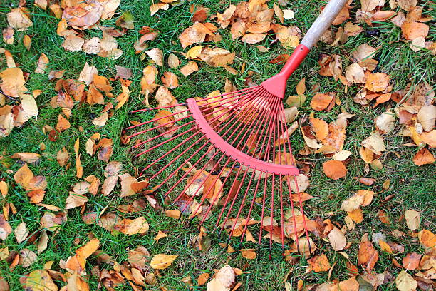 istock Taking a rest from raking the leaves 478266149