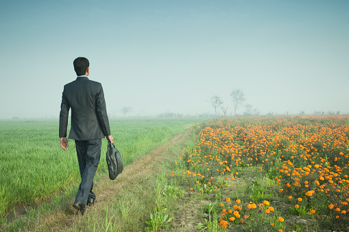 Outdoor day time shoot in rural area of a serene businessman in dark bluish black business suit walking towards horizon through farm land. He is holding a laptop bag while crossing through orange marigold and wheat field in morning. Horizontal composition shot with copy space using aperture f/5.6.