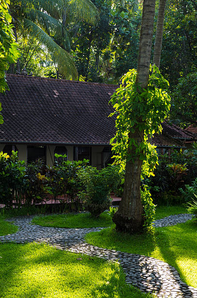 istock Palms and bungalows in Bali Indonesia in backlit 478266780