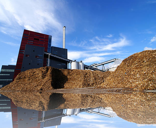 bio-kraftwerk mit lagerung von holz-fuel - biomasse erneuerbarkeit stock-fotos und bilder