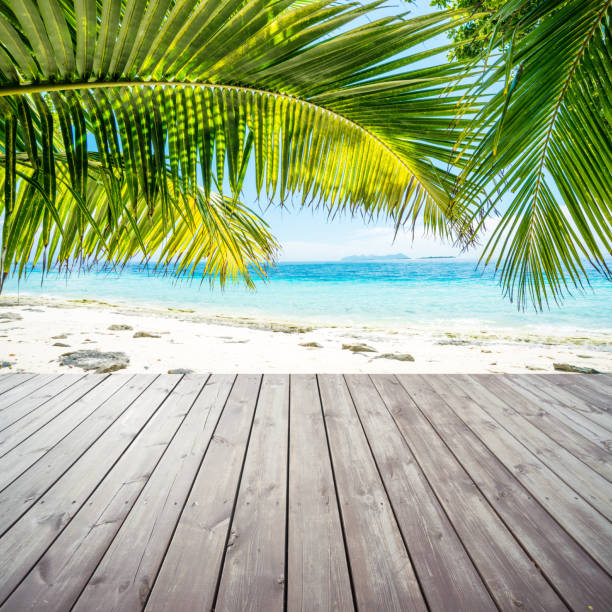 istock Wooden platform under coconut palm trees on beach 478267268
