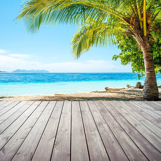 istock Wooden platform under coconut palm trees on beach 478267704