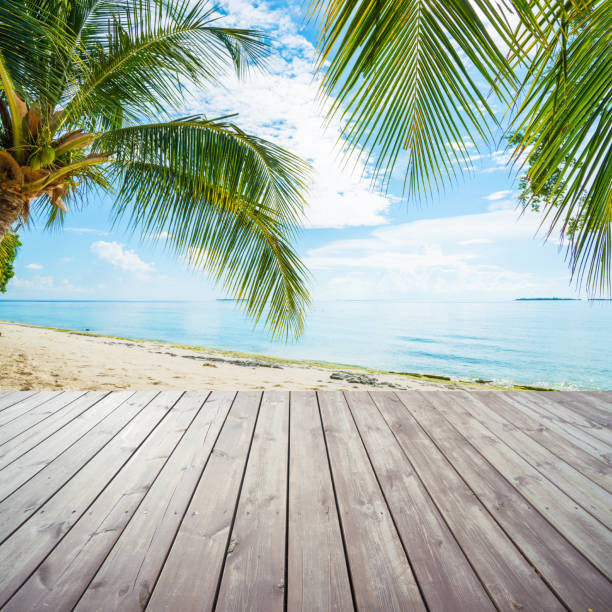 istock Wooden platform under coconut palm trees on beach 478267712