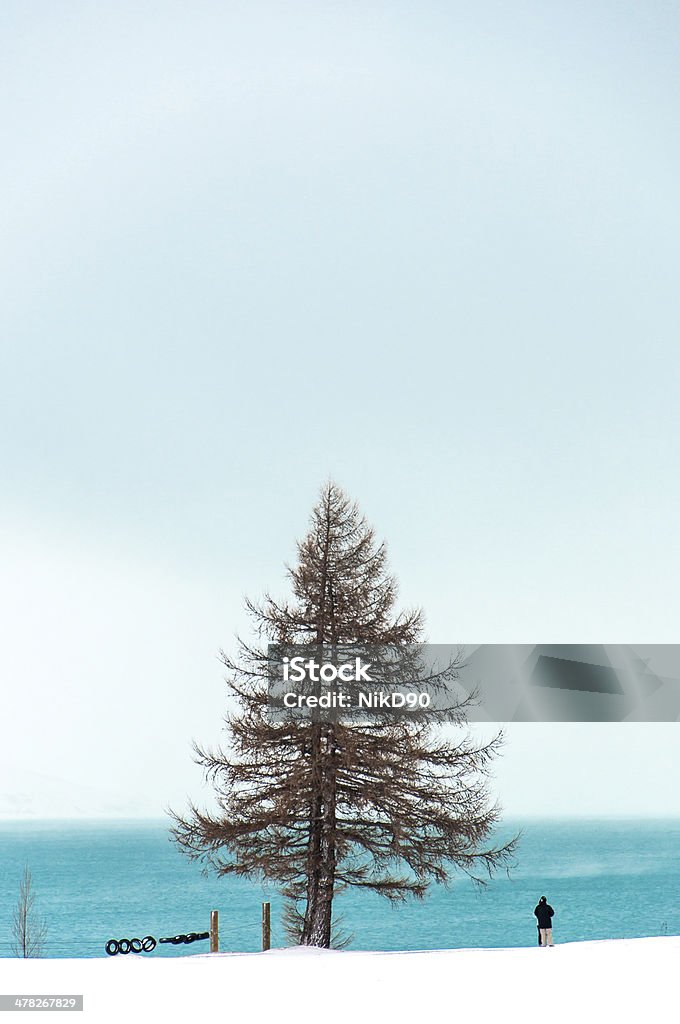 couple debout près du lac bleu et un seul arbre en hiver - Photo de Arbre libre de droits