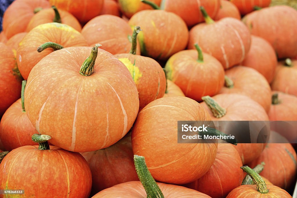 Pumpkins - Foto de stock de Calabacita libre de derechos