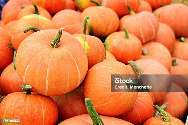 Pumpkins Foto de stock y más banco de imágenes de Calabacita - Calabacita, Calabaza de invierno, Calabaza gigante