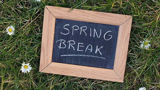 Spring break written on a chalkboard in a park between grass and flowers