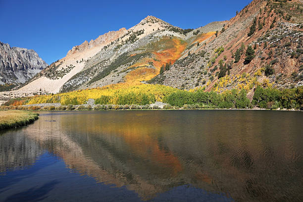 istock Autumn on Northern lake 478269303
