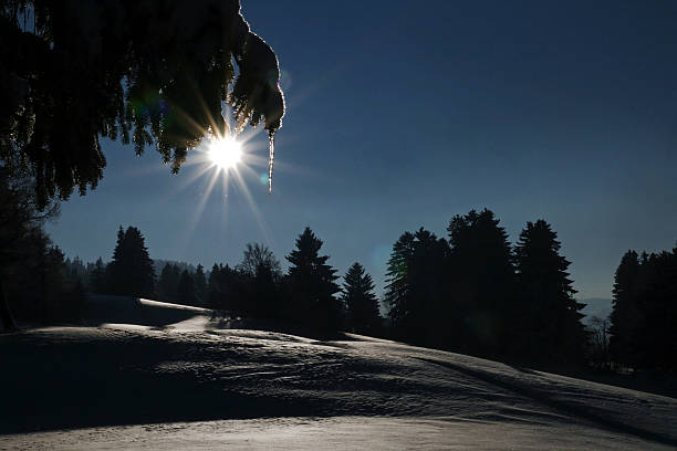 sol de invierno - alleine fotografías e imágenes de stock