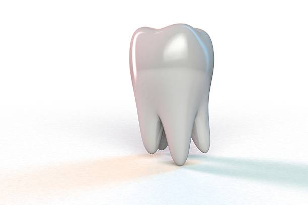 istock Tooth molar tooth Dental Hygiene Dentist 3D 478272174