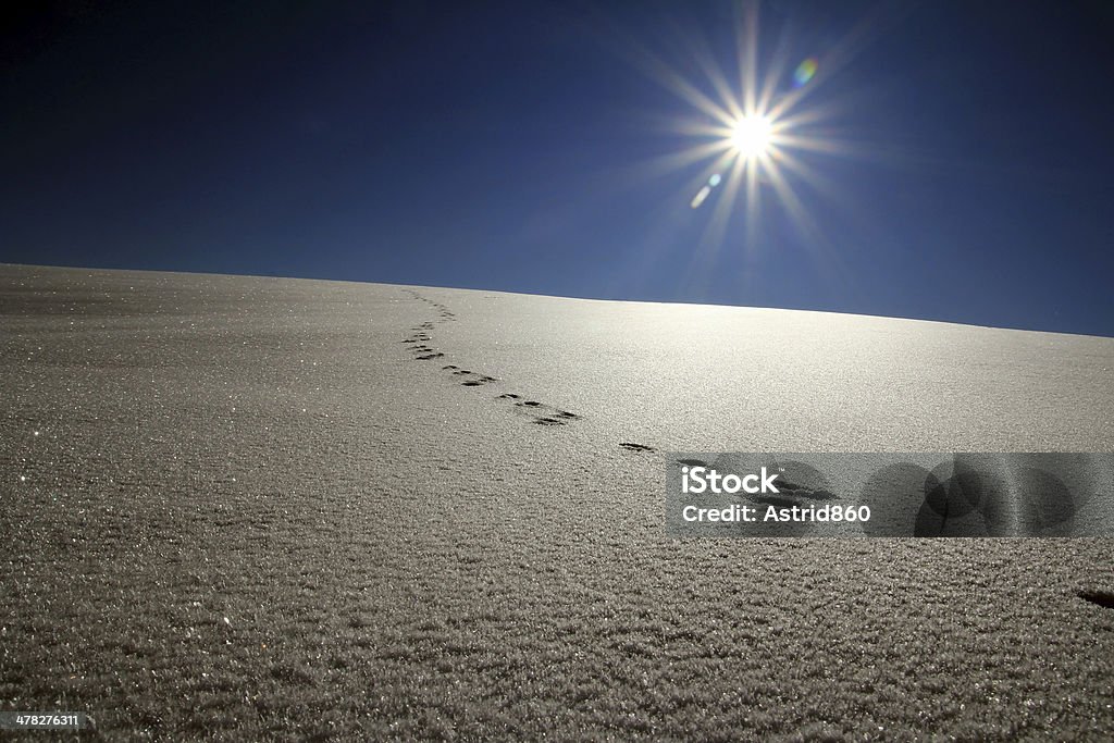 Sol de inverno - Foto de stock de Alemanha royalty-free