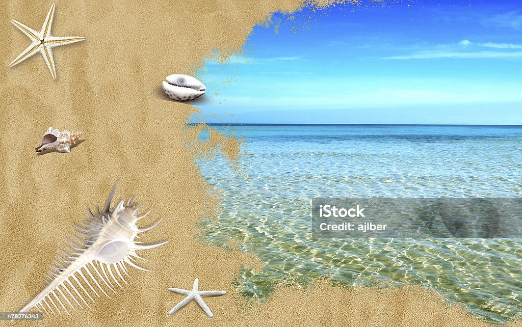 Landscape Tropical sea with beach sand and shells Animal Shell Stock Photo