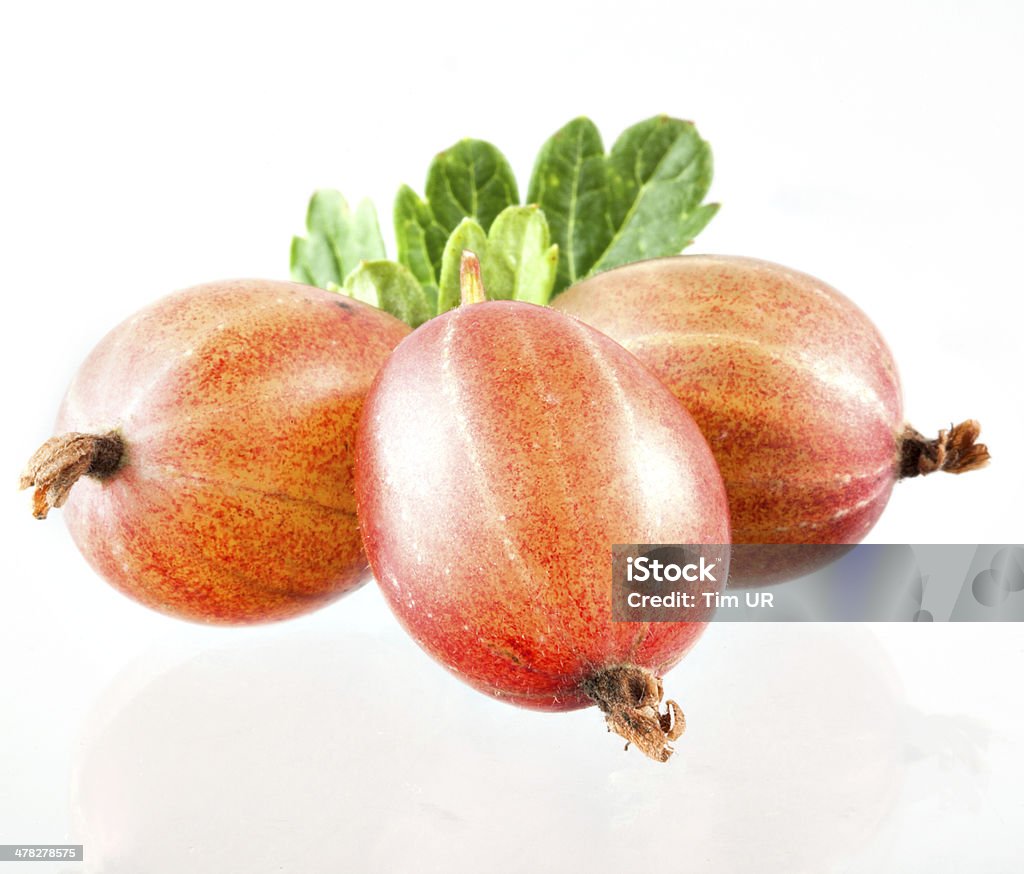 Stachelbeere isoliert - Lizenzfrei Beere - Obst Stock-Foto