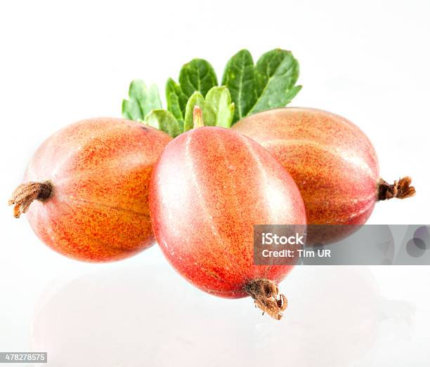 Stachelbeere Isoliert Stockfoto und mehr Bilder von Beere - Obst - Beere - Obst, Blatt - Pflanzenbestandteile, Drei Gegenstände