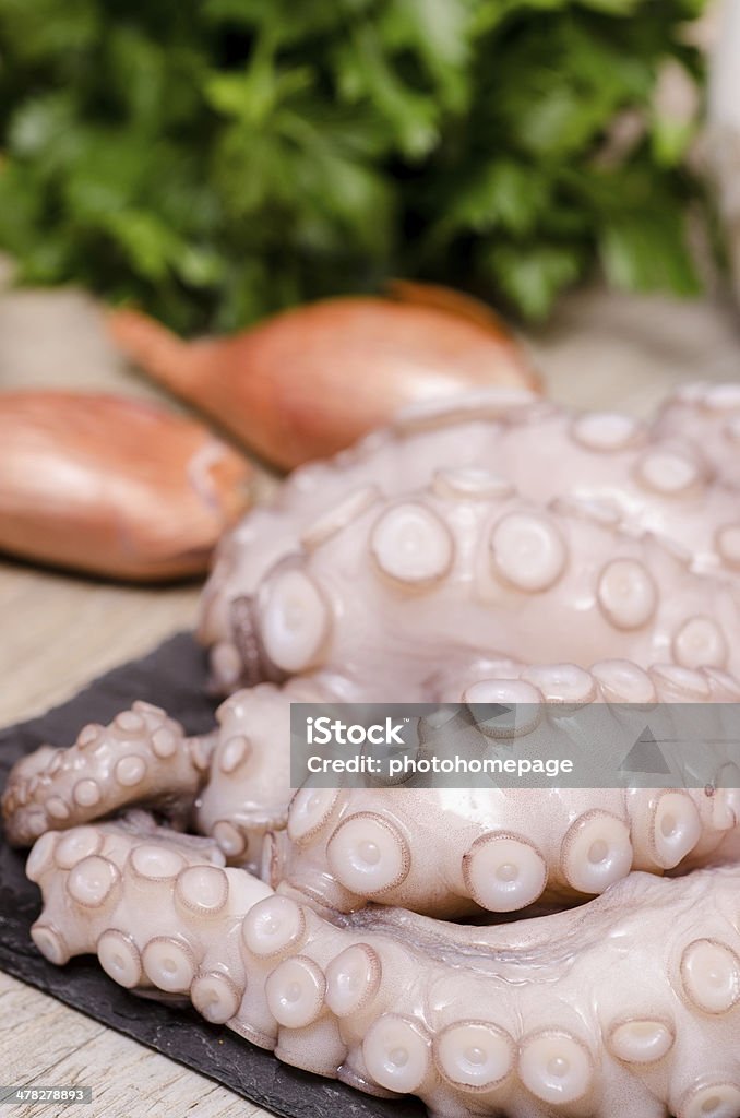 Calamar con cebollas y perejil - Foto de stock de Aderezo libre de derechos