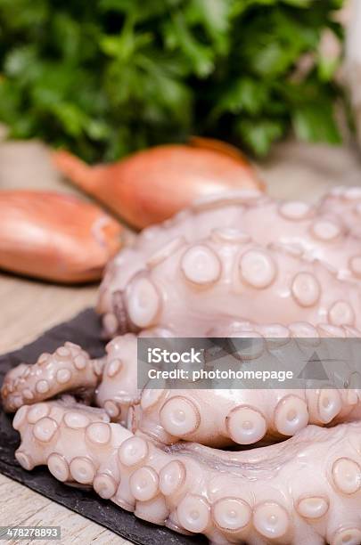Calamari Con Cipolle E Prezzemolo - Fotografie stock e altre immagini di A forma di blocco - A forma di blocco, Aglio - Liliacee, Ardesia