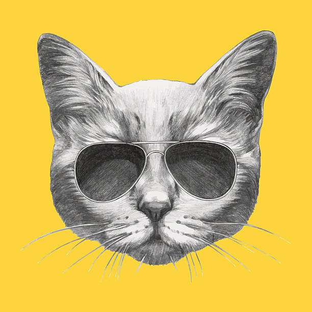 hand drawn портрет кошка с солнцезащитные очки. - animal head illustrations stock illustrations
