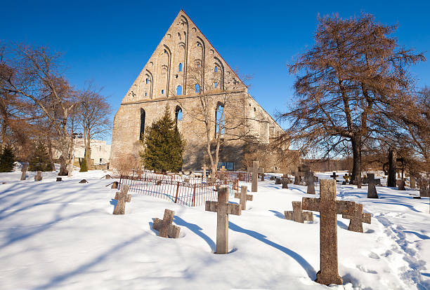 vecchio cimitero di santa brigitte convento di pirita, tallinn, estonia - estonia tallinn old ruin ruined foto e immagini stock