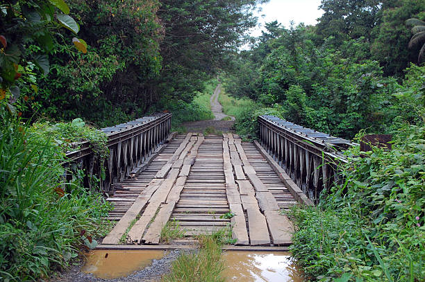 istock Timber bridge in Papua New Guinea 478280492